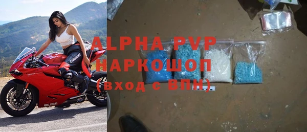 шишки Бородино
