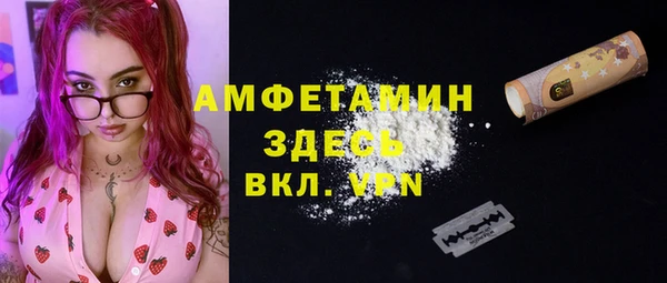 шишки Бородино