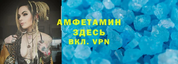 шишки Бородино