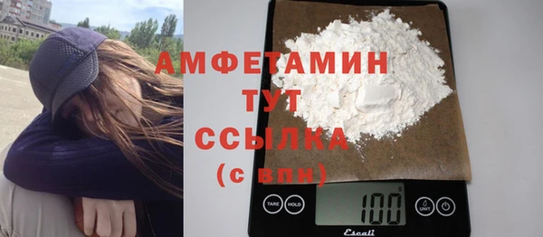 шишки Бородино