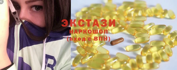 шишки Бородино
