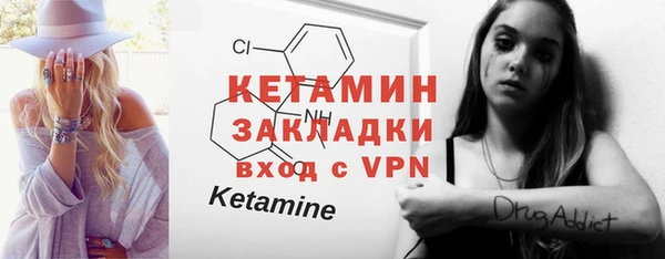 шишки Бородино