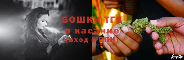 шишки Бородино