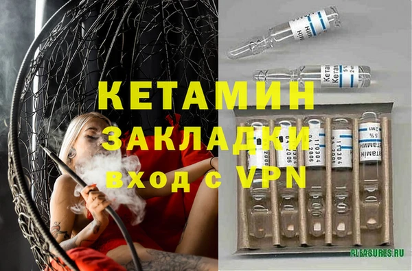 шишки Бородино