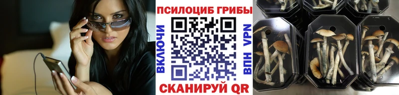 Галлюциногенные грибы GOLDEN TEACHER  Купить закладки  Жиздра 